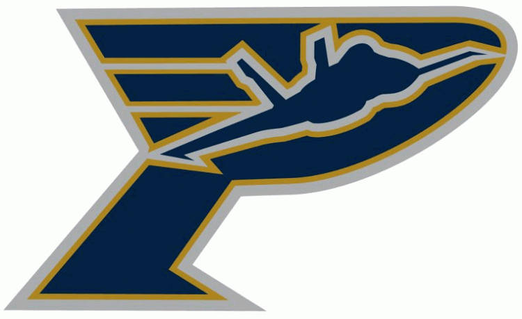 pensacola ice flyers 2012 secondary logo iron on transfers for clothing